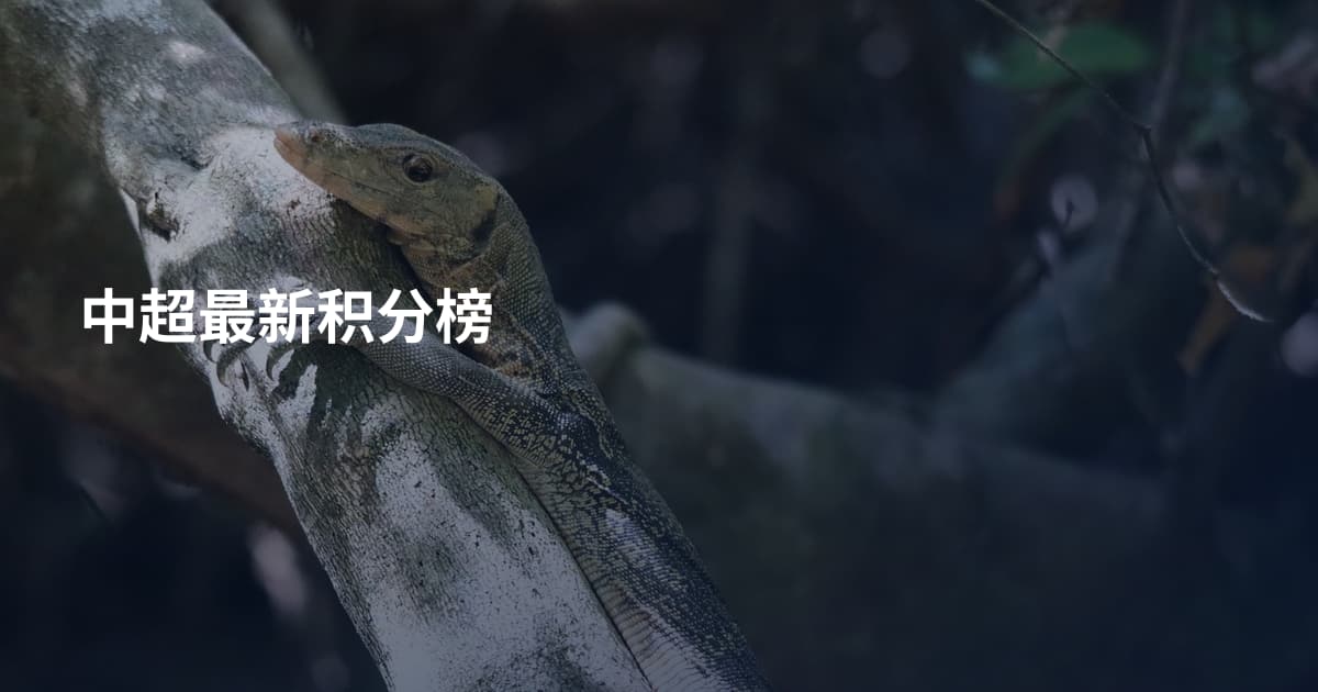 中超最新积分榜