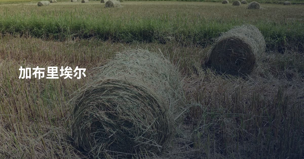 加布里埃尔