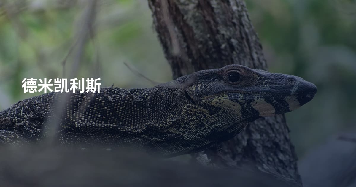德米凯利斯