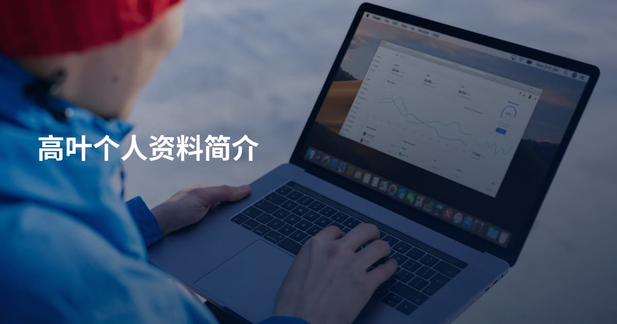 高叶个人资料简介