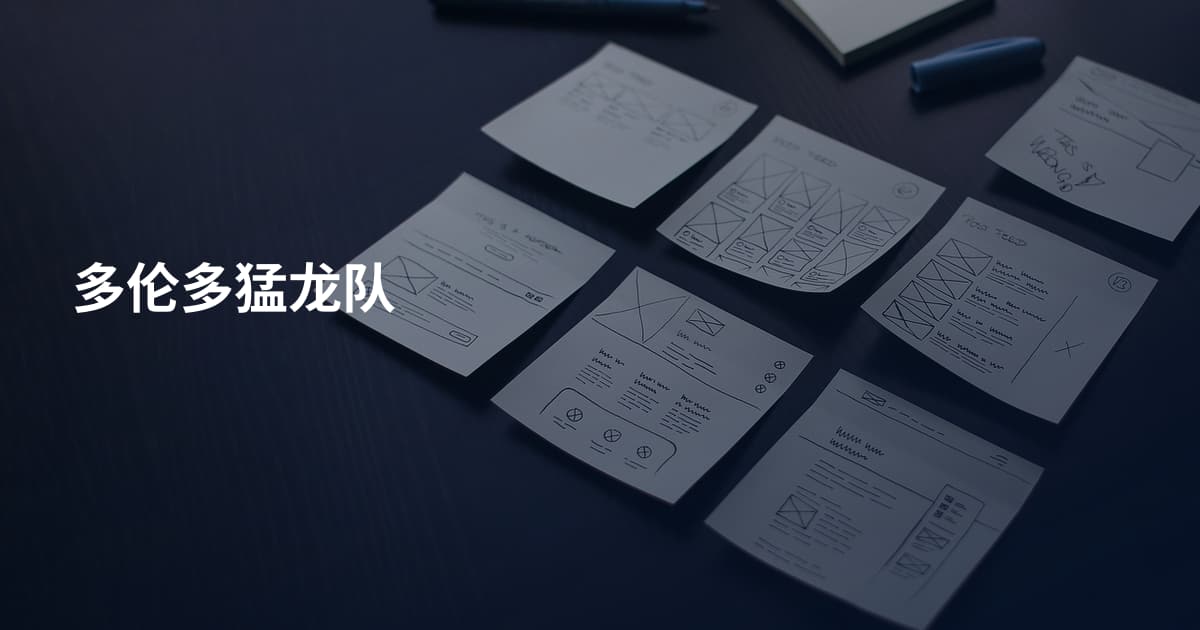 多伦多猛龙队