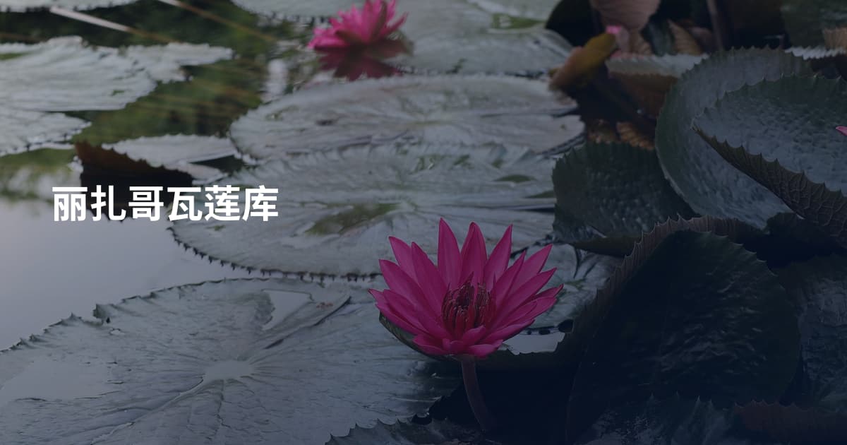 丽扎哥瓦莲库