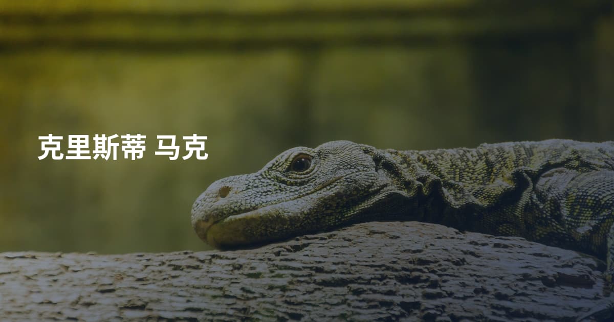 克里斯蒂 马克