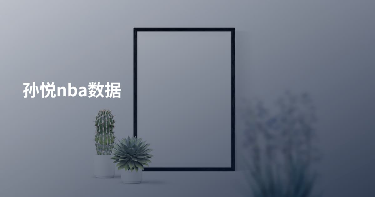 孙悦nba数据
