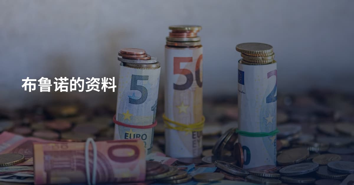 布鲁诺的资料