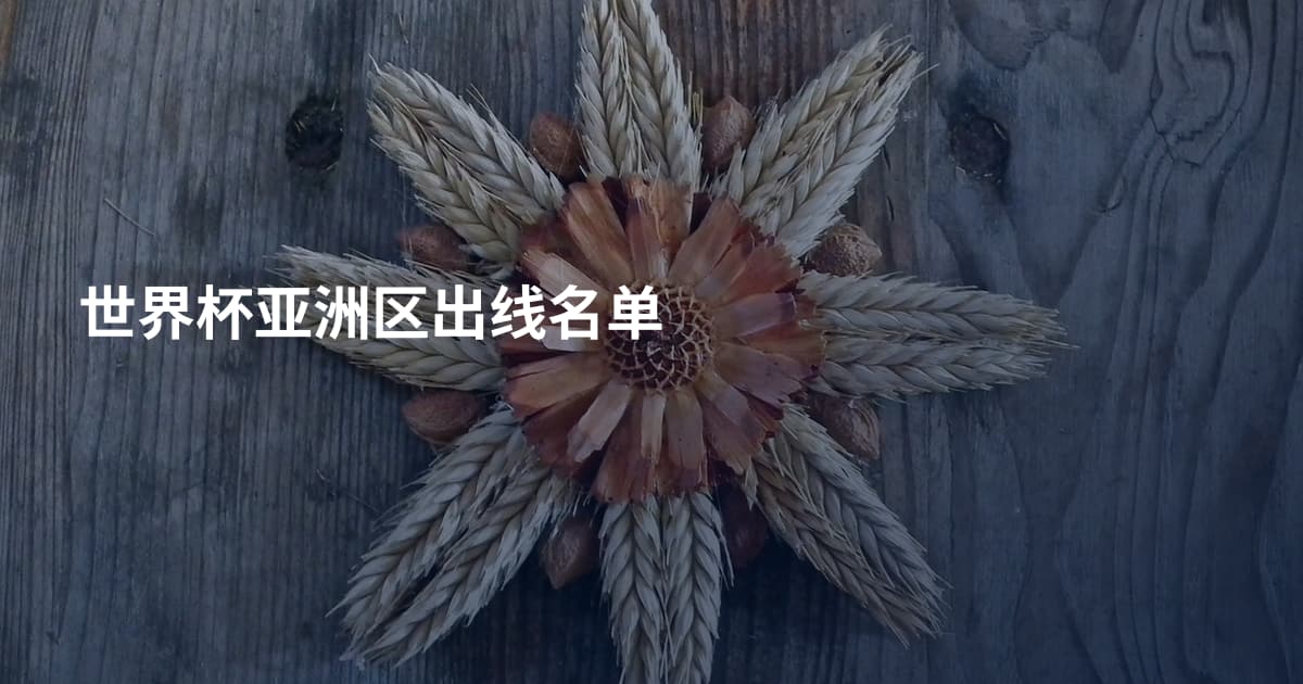 世界杯亚洲区出线名单