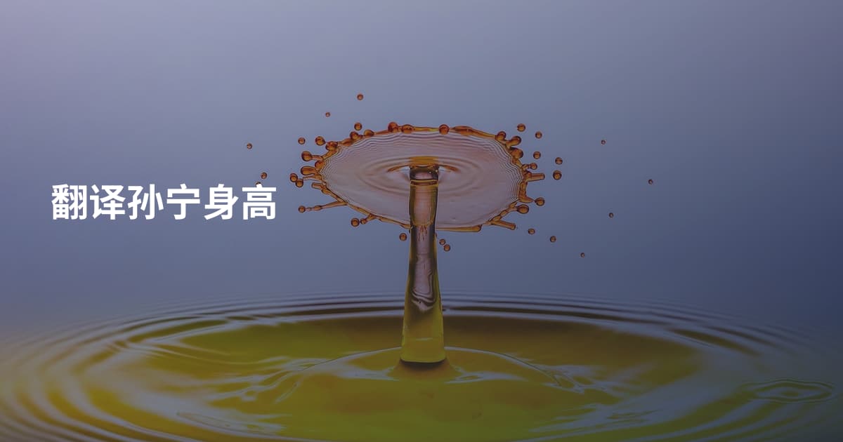 翻译孙宁身高